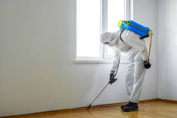 Pest Control for Restaurants in Ogden Dunes, IN