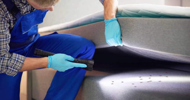 Best Best Pest Control Companies  in Ogden Dunes, IN