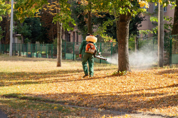 Best Wasp Removal Services  in Ogden Dunes, IN