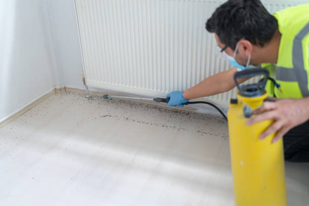 Best Emergency Pest Control  in Ogden Dunes, IN