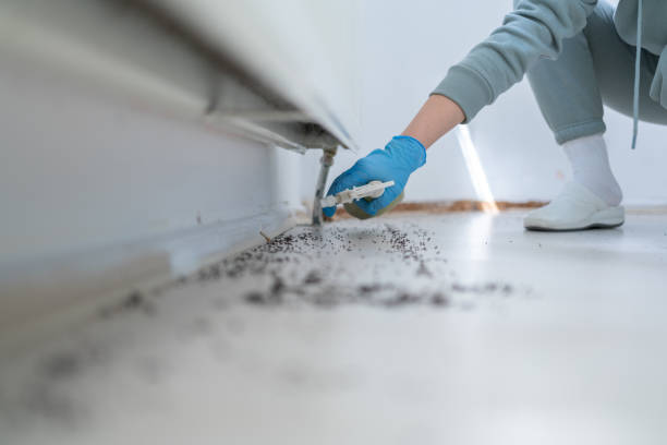 Best Affordable Pest Control Services  in Ogden Dunes, IN